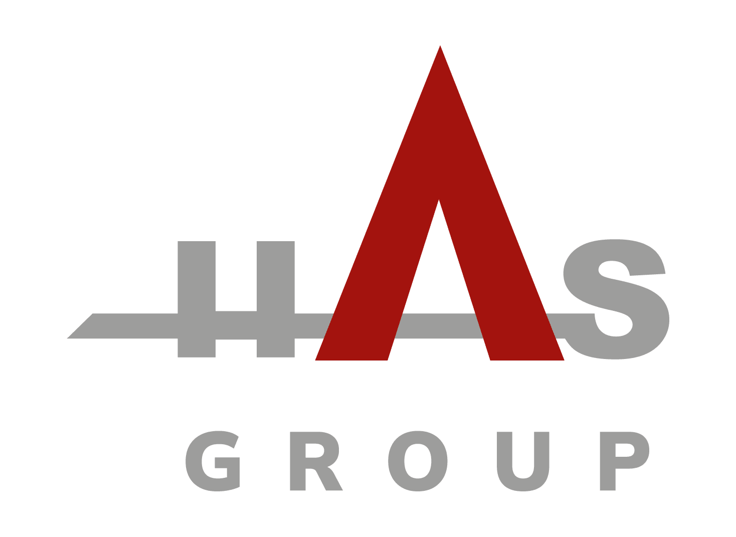 H. A. S. Group a.s.